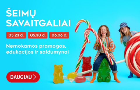 ŠEIMŲ SAVAITGALIAI PC MOLAS