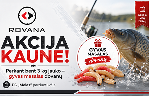 PIRK JAUKĄ, GAUK MASALĄ